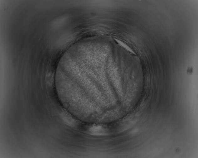 X0000101190177200807181519