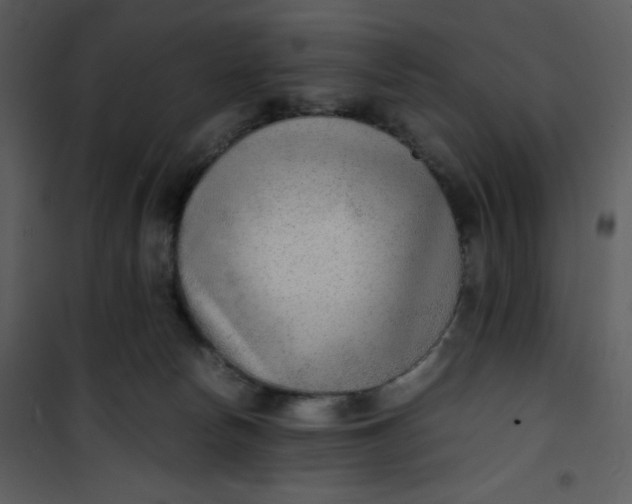 X0000101190178200807181519