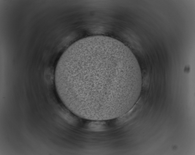 X0000101190179200807181519