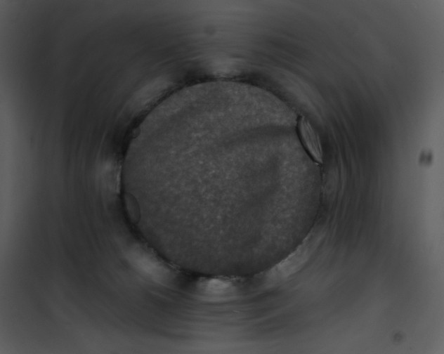X0000101190180200807181519