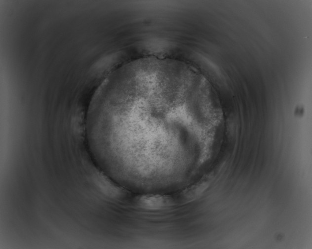 X0000101190181200807181519