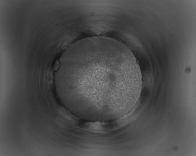 X0000101190182200807181520