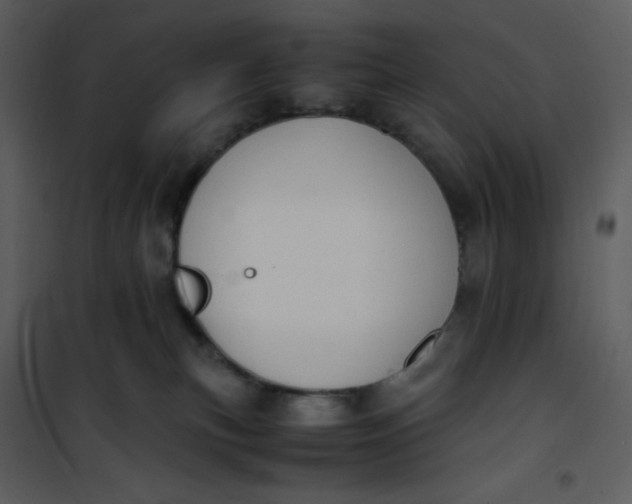 X0000101190183200807181520
