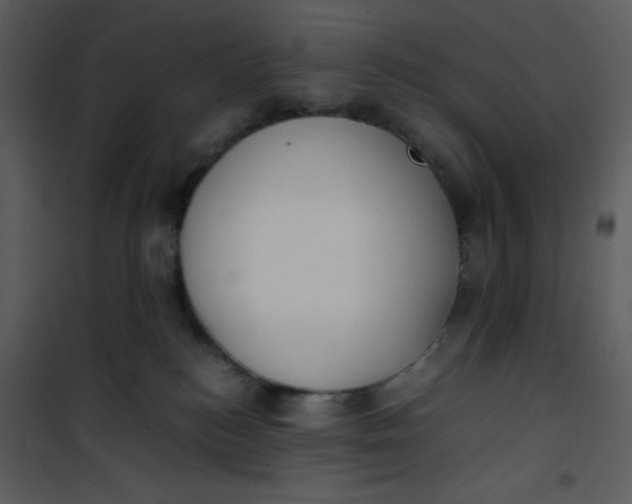 X0000101190184200807181520