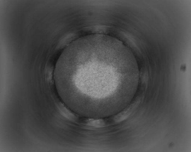 X0000101190185200807181520