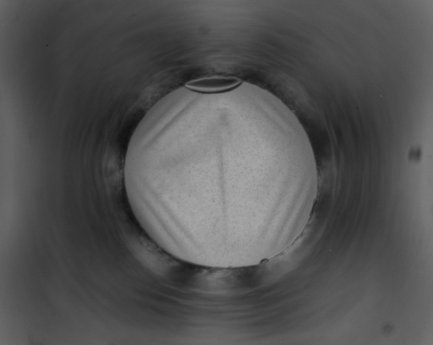 X0000101190186200807181520