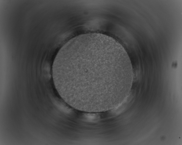 X0000101190187200807181520