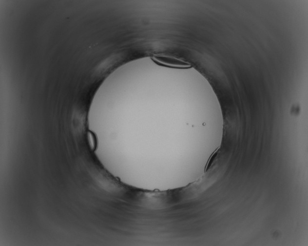 X0000101190188200807181520