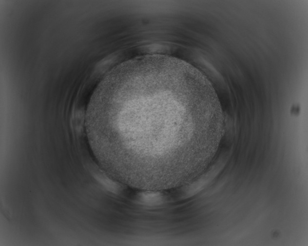 X0000101190189200807181520