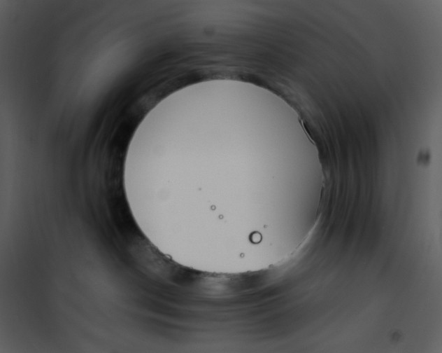 X0000101190190200807181520