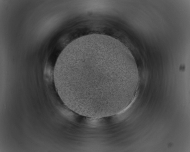 X0000101190191200807181520