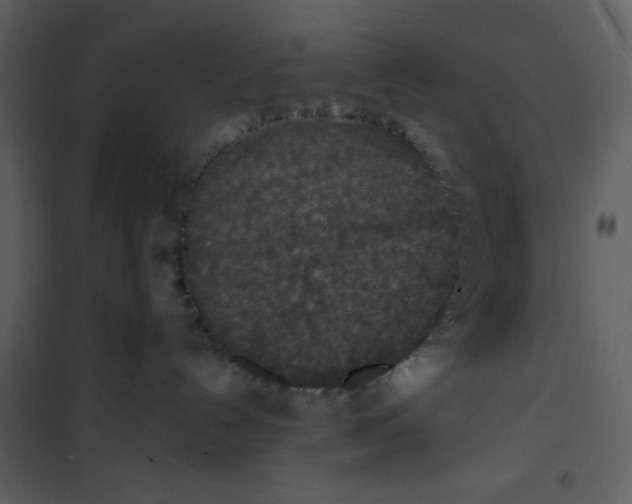 X0000101190192200807181520