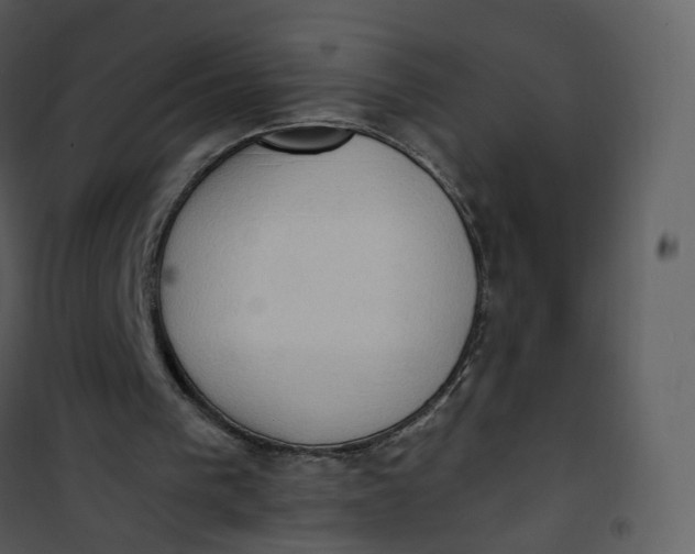 X0000101190193200807181519