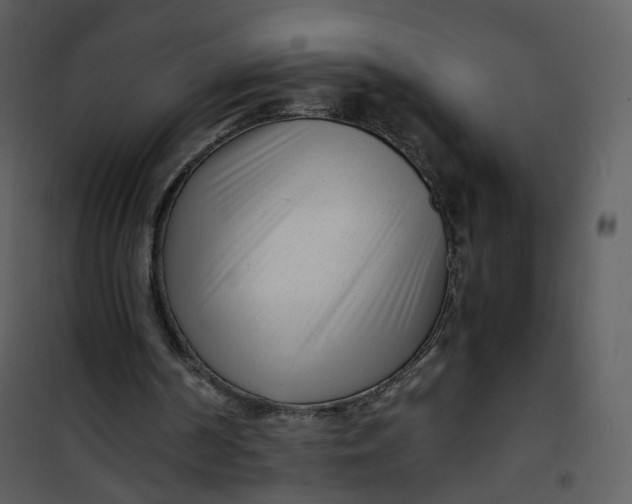 X0000101190194200807181519