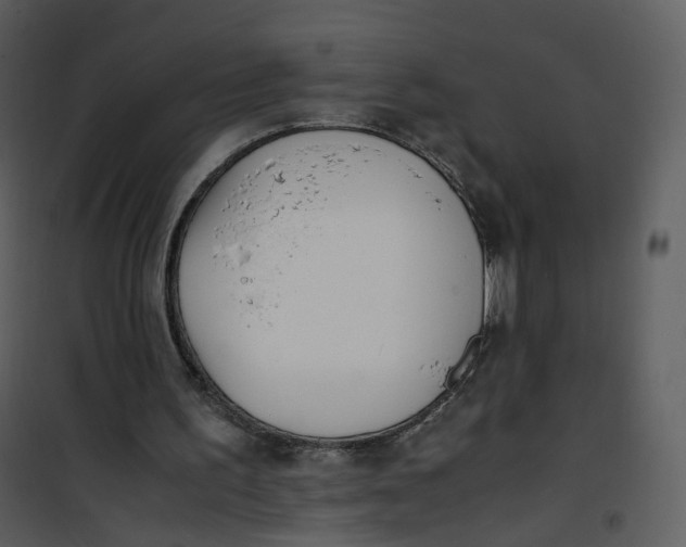 X0000101190195200807181519