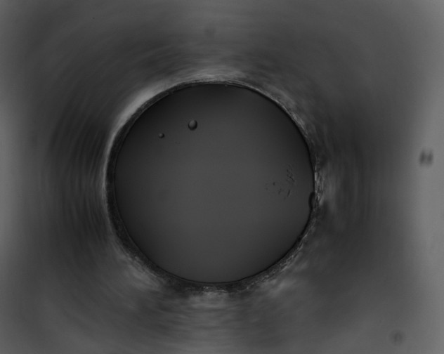X0000101190196200807181519