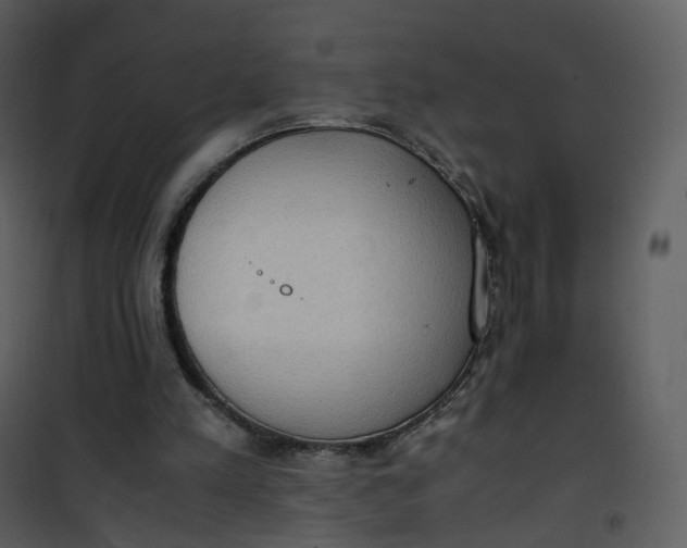 X0000101190197200807181519