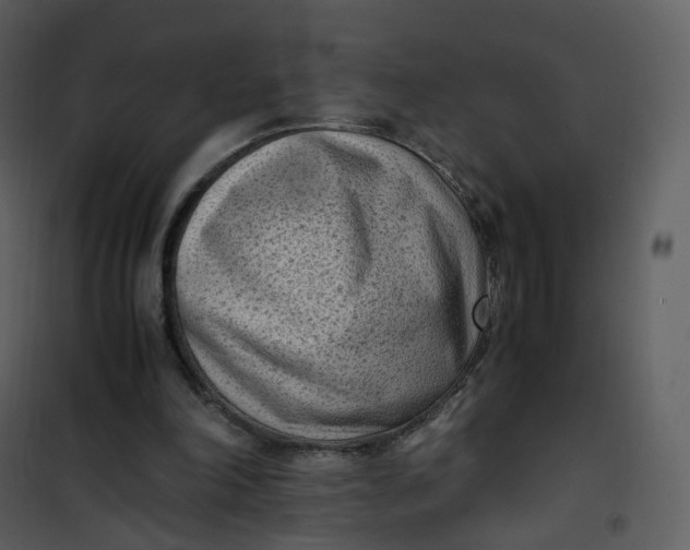 X0000101190198200807181519