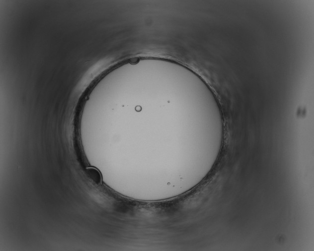X0000101190199200807181519