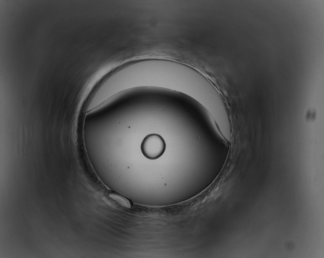 X0000101190200200807181519