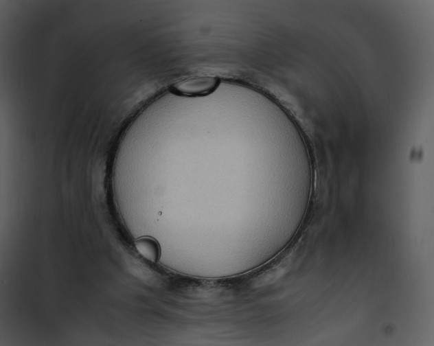 X0000101190201200807181519