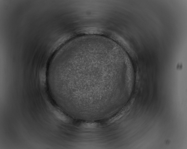 X0000101190202200807181519