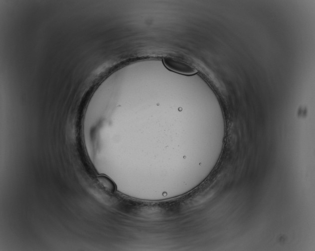X0000101190203200807181519