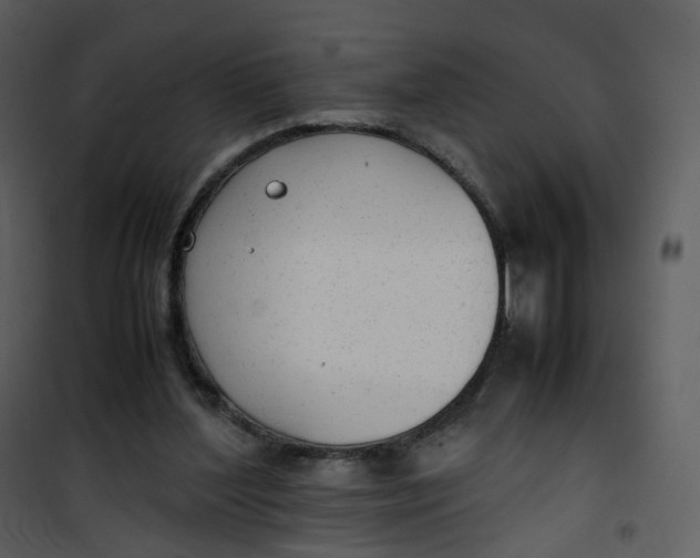X0000101190204200807181519