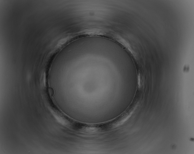 X0000101190205200807181519