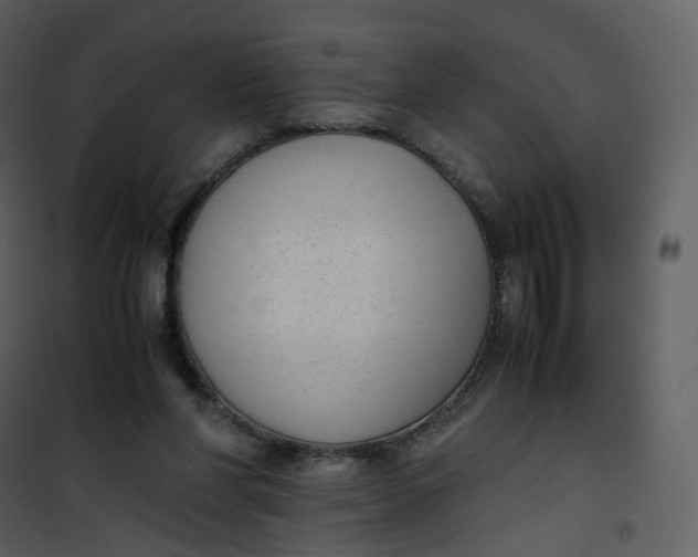 X0000101190206200807181519