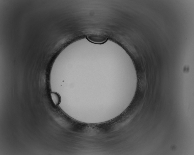 X0000101190207200807181519