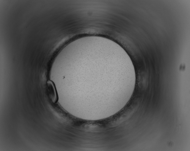 X0000101190208200807181519