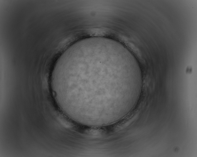 X0000101190209200807181519