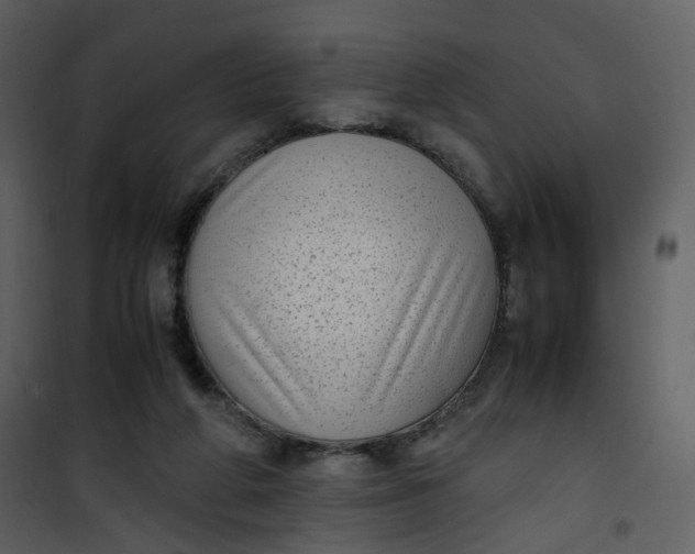 X0000101190210200807181519