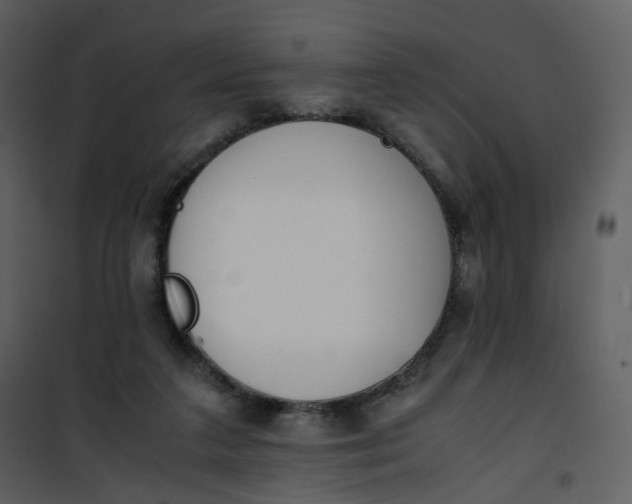 X0000101190211200807181519