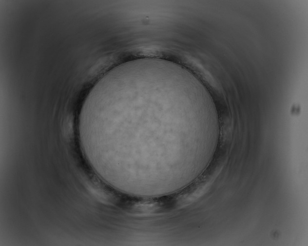 X0000101190213200807181519