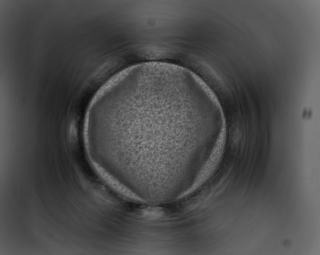 X0000101190214200807181518