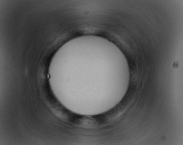 X0000101190215200807181518