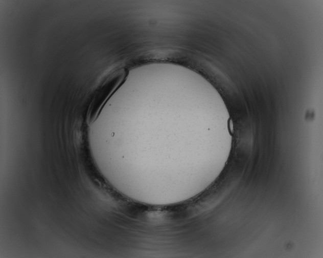 X0000101190216200807181518