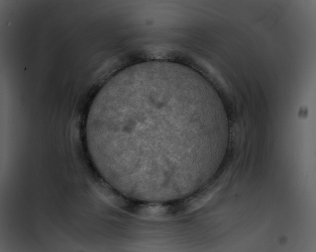 X0000101190217200807181518