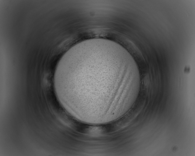 X0000101190218200807181518