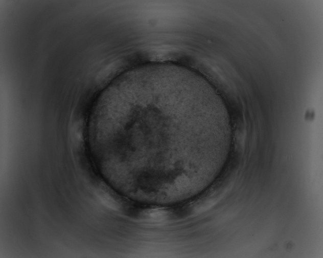 X0000101190219200807181518
