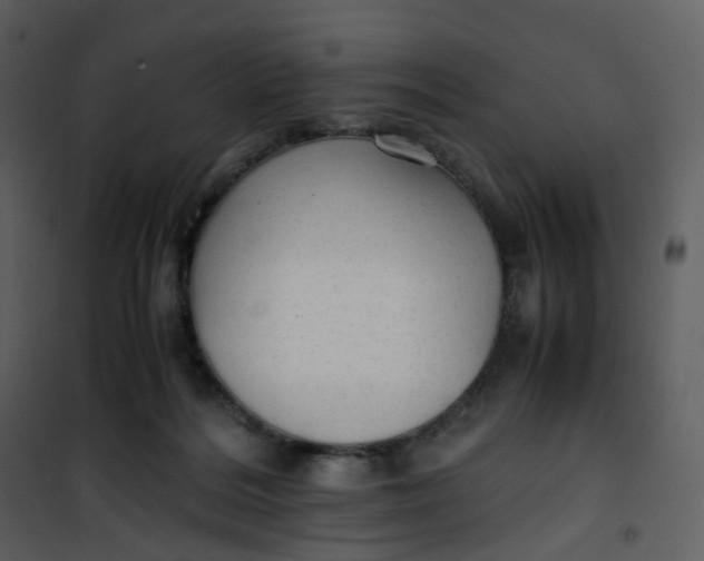 X0000101190220200807181518