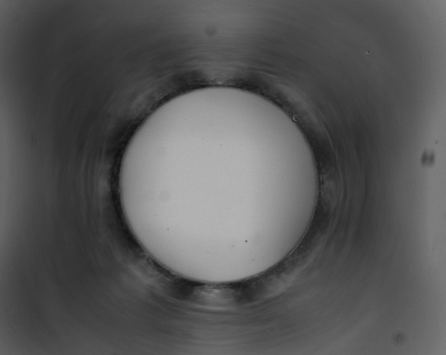 X0000101190221200807181518