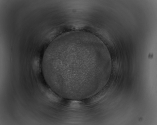 X0000101190222200807181518