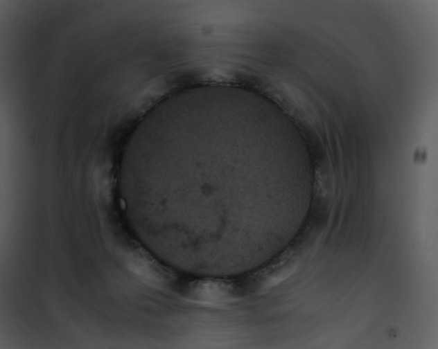 X0000101190223200807181518