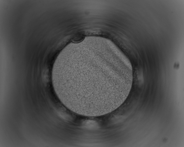 X0000101190224200807181518