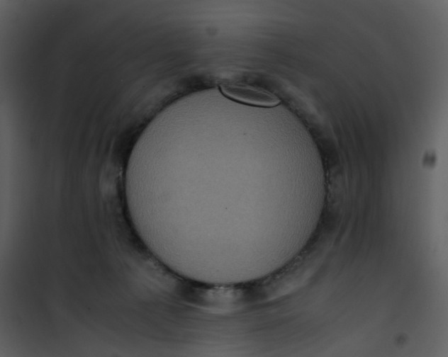 X0000101190225200807181518