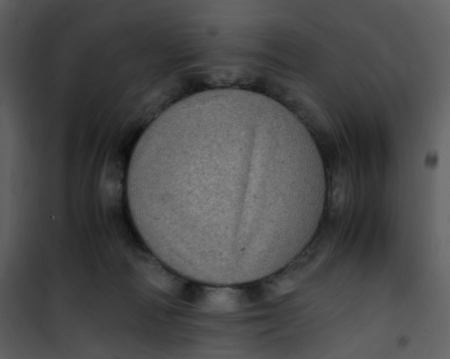 X0000101190226200807181518