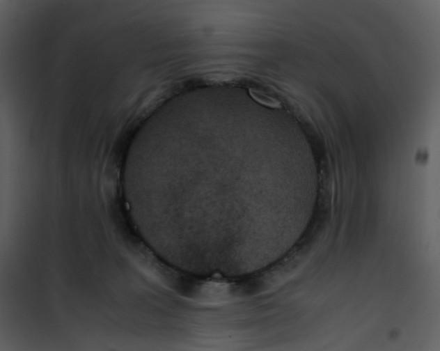 X0000101190227200807181518